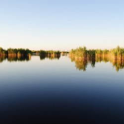 Neusiedler See - Schilfgürtel